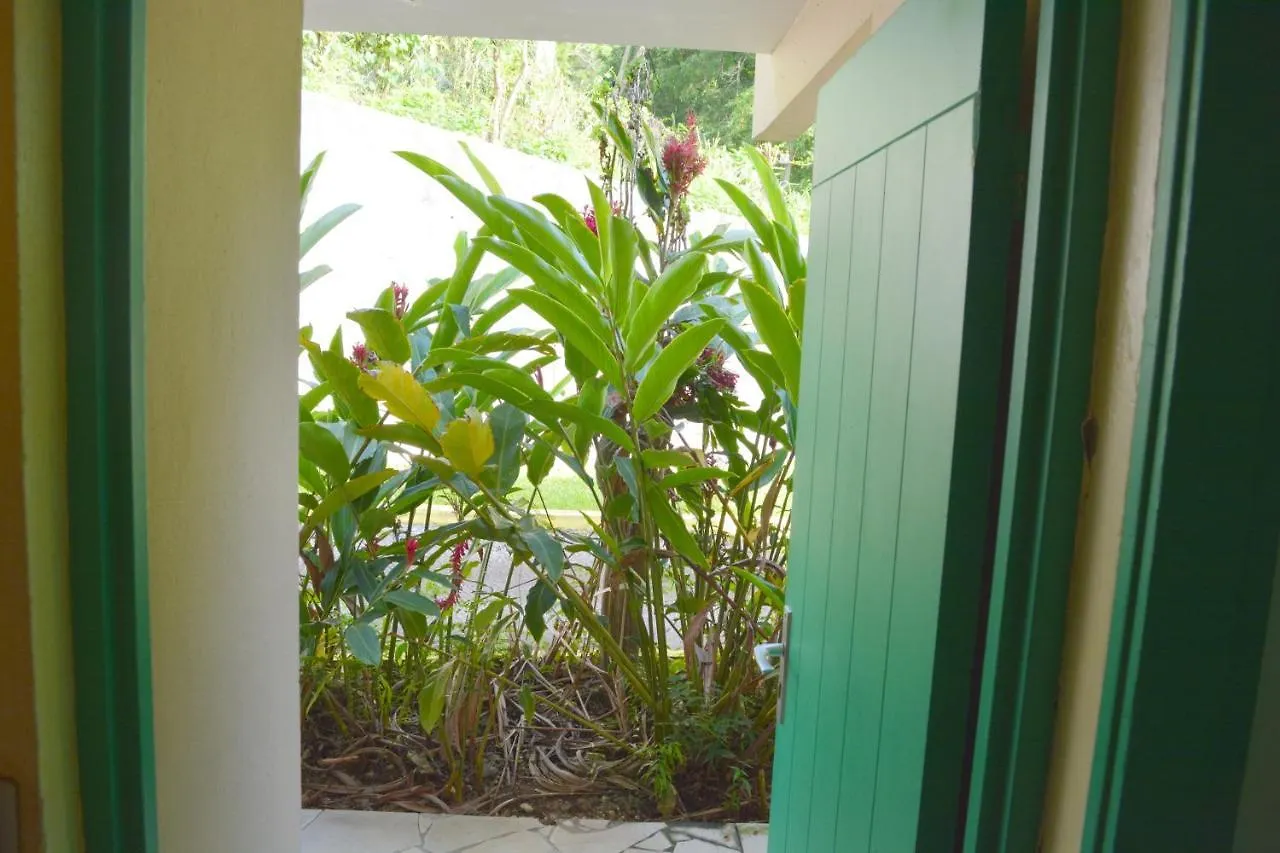 公寓 Studio En Bord De Mer A Sainte Anne 25 M² Avec Jardin Caritan