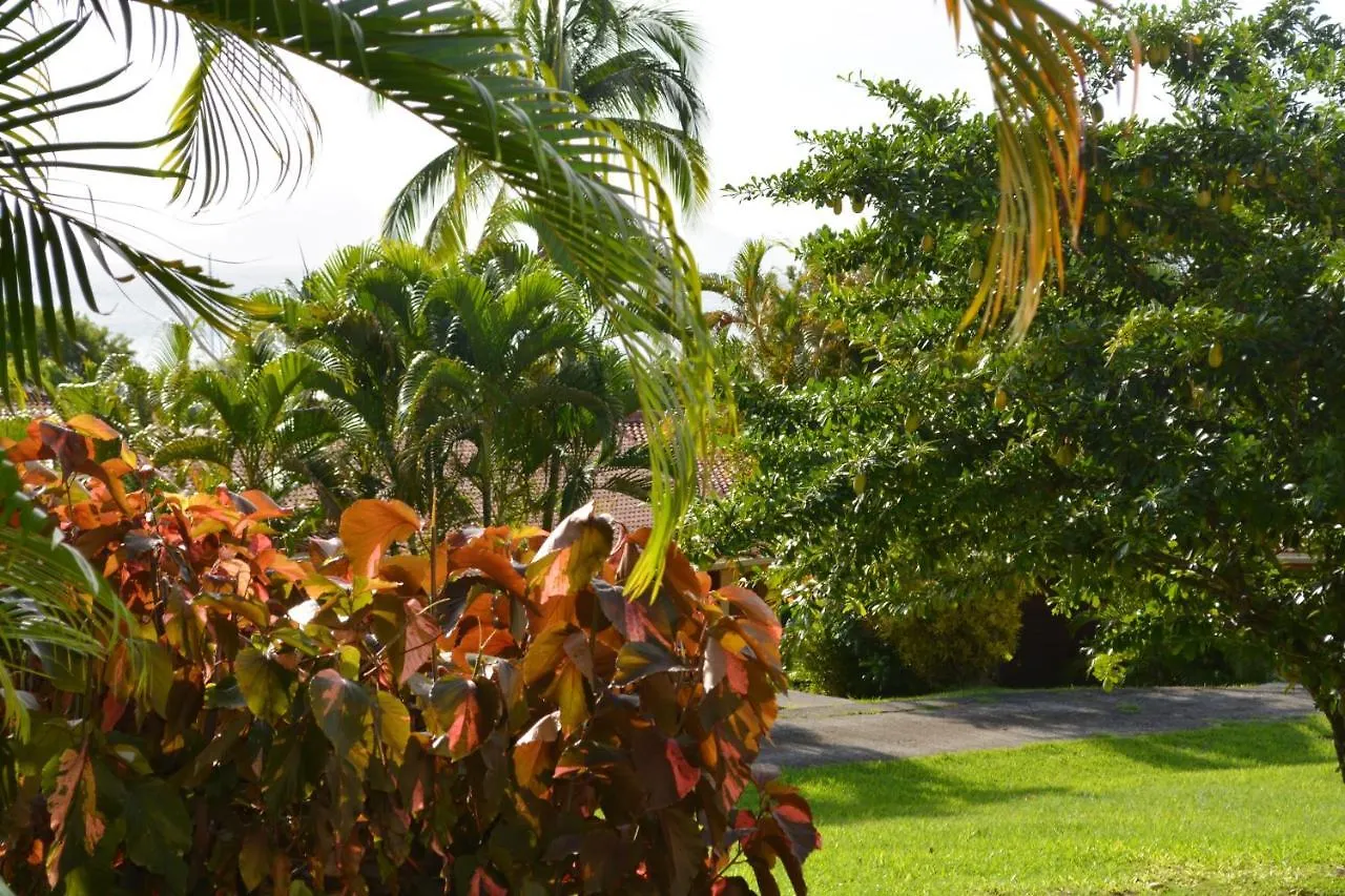 Apartment Studio En Bord De Mer A Sainte Anne 25 M² Avec Jardin Caritan